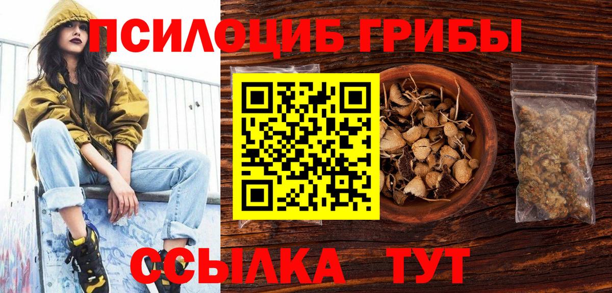 Псилоцибиновые грибы мицелий  Псилоцибиновые грибы Cubensis  Кострома  Вход с VPN 